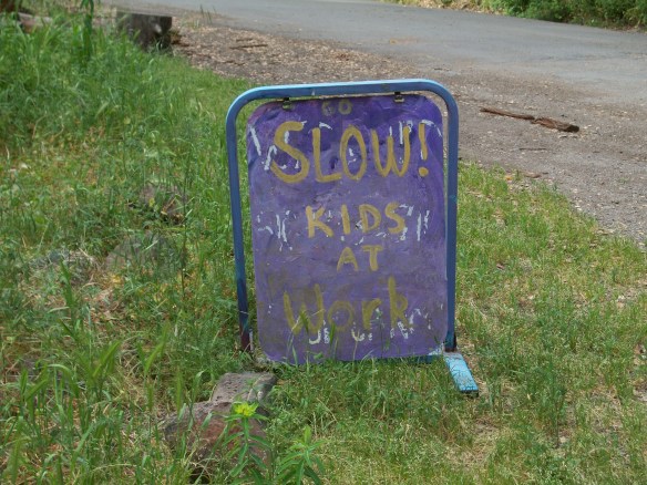 Canyon - Adults at Play