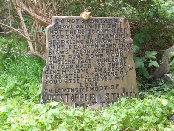 Canyon - Charles Stanley Martin