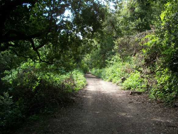 Canyon - NW along Railroad Grade #2