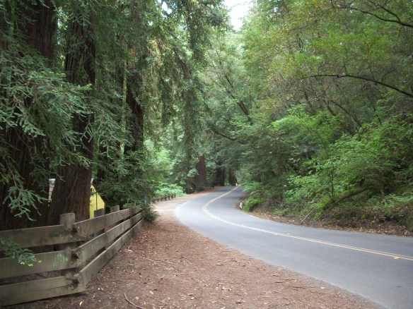 Canyon - Pinehurst Road SW