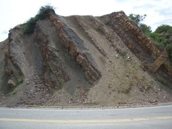Claremont Chert, East Ridge Crest